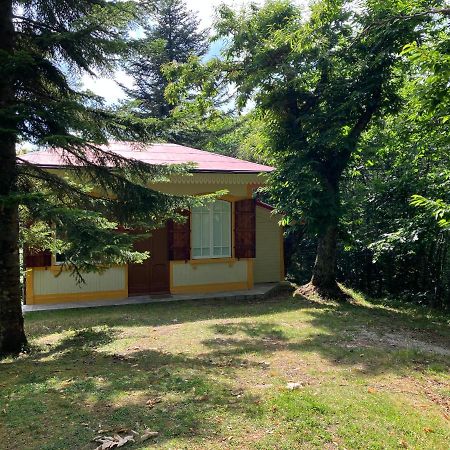 Villa Casa Del Castagno: Un Nido Nel Castagneto Pistoya Exterior foto