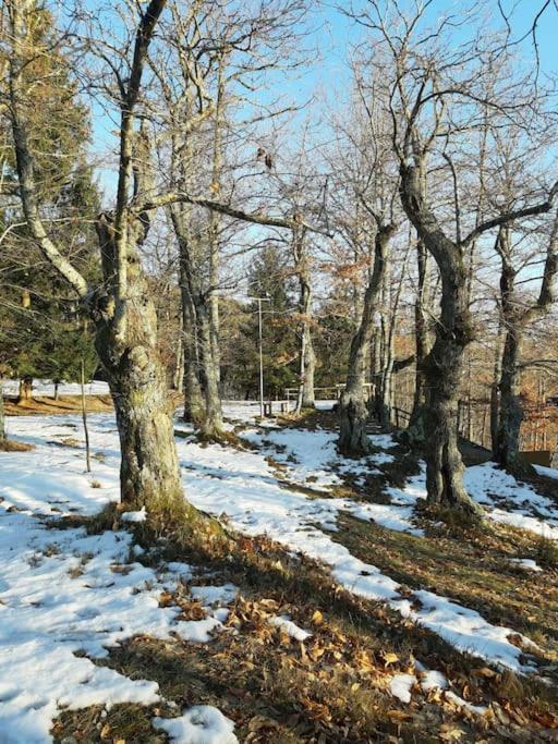 Villa Casa Del Castagno: Un Nido Nel Castagneto Pistoya Exterior foto