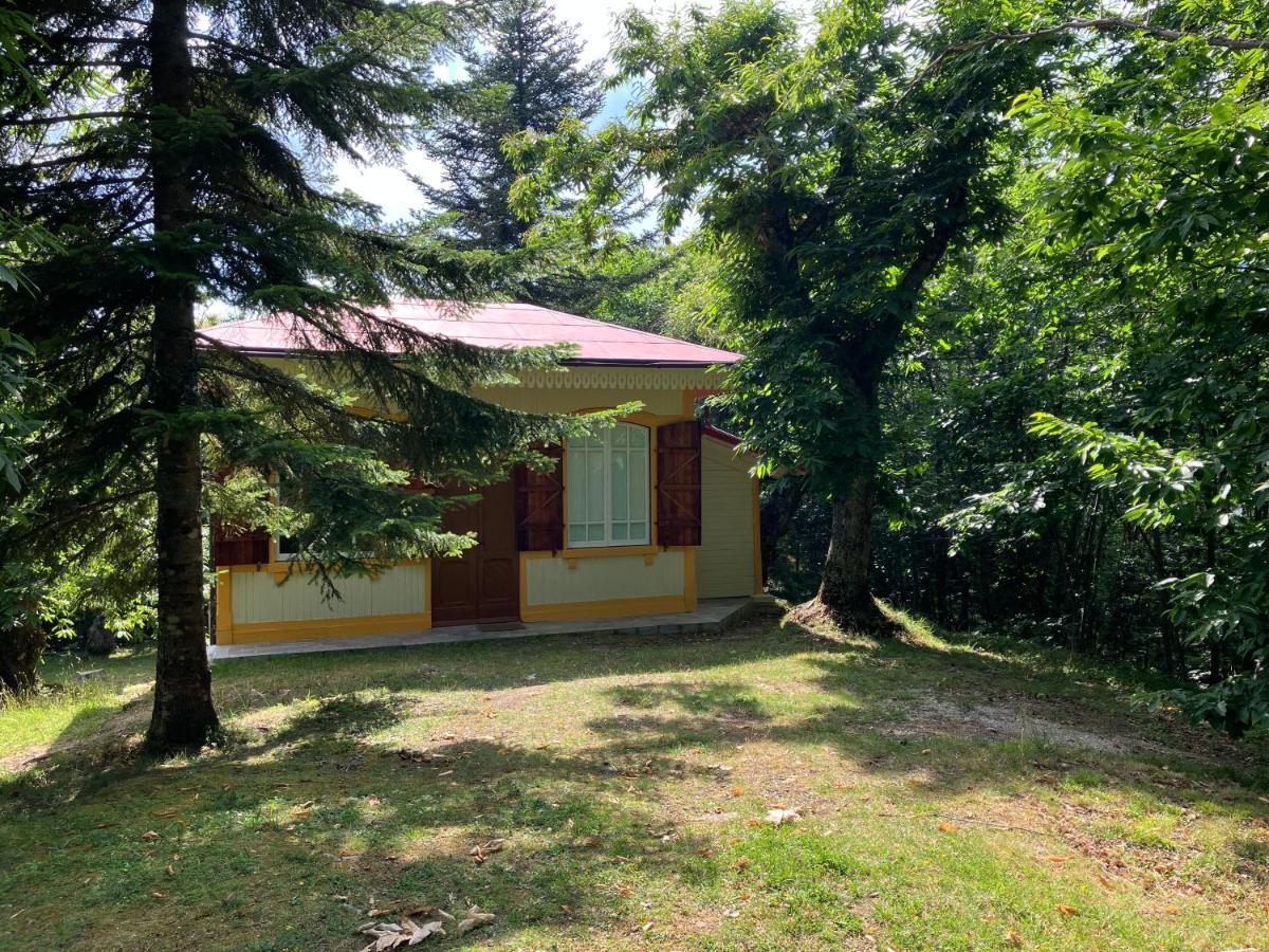 Villa Casa Del Castagno: Un Nido Nel Castagneto Pistoya Exterior foto