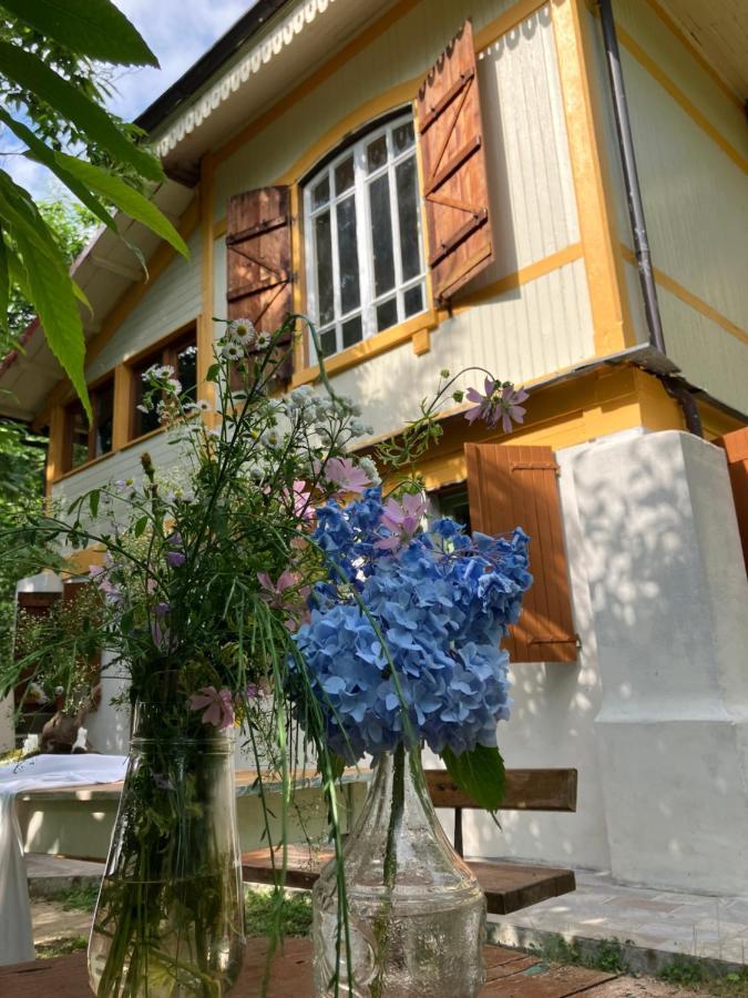 Villa Casa Del Castagno: Un Nido Nel Castagneto Pistoya Exterior foto
